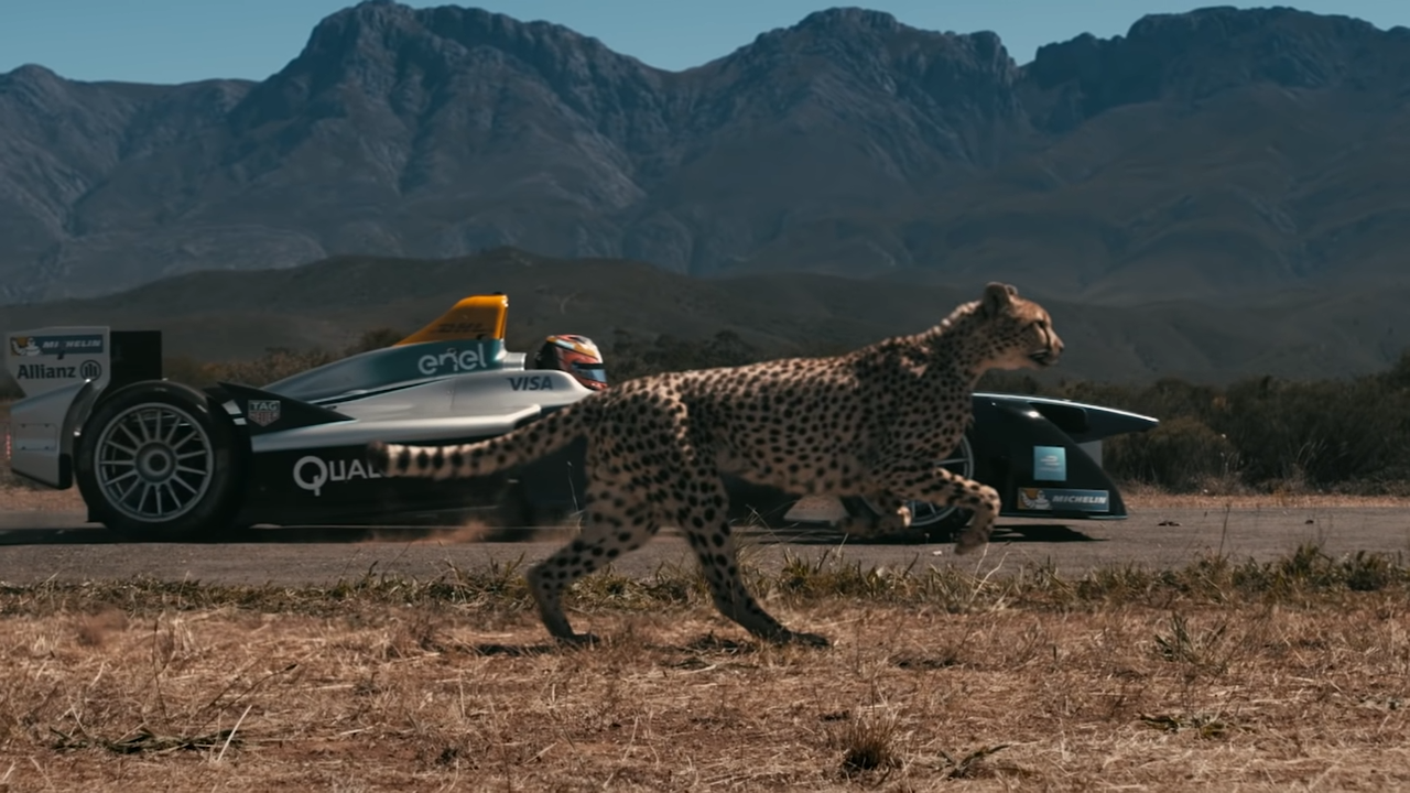 Formula E vs Cheetah in drag race